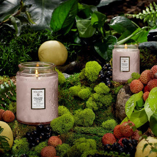 Panjore Lychee Large Jar Candle