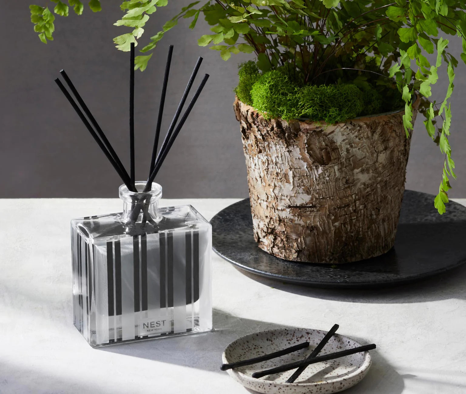Nest Charcoal Woods Reed Diffuser Reed Diffuser